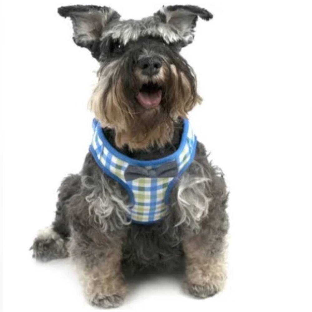 Vibrant Life Plaid Dog Harness